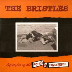 The Bristles : Lifestyle Of The Poor & Unknown